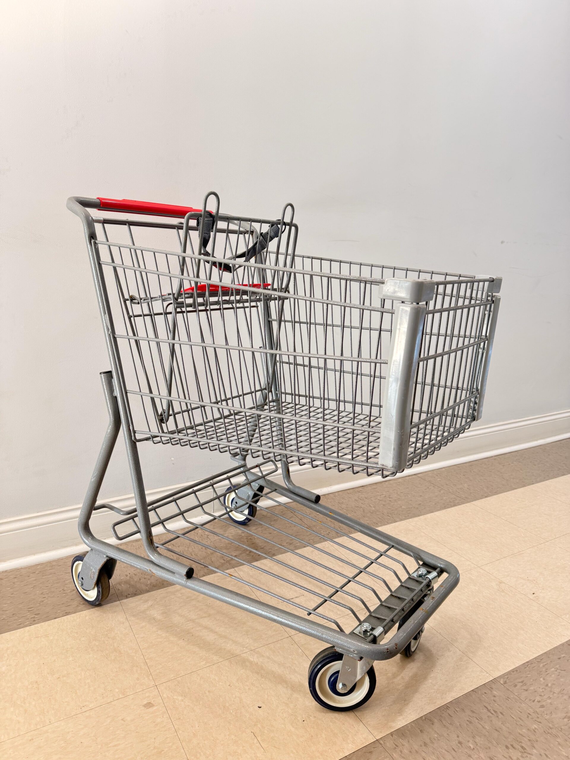 Various Shopping Carts - Image 3